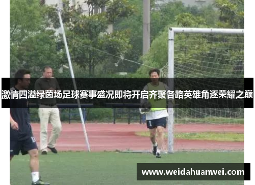 激情四溢绿茵场足球赛事盛况即将开启齐聚各路英雄角逐荣耀之巅