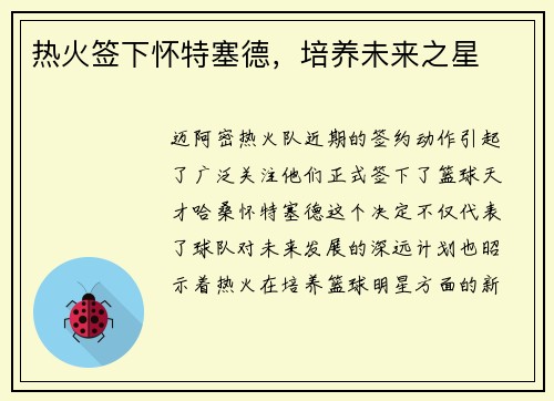 热火签下怀特塞德，培养未来之星
